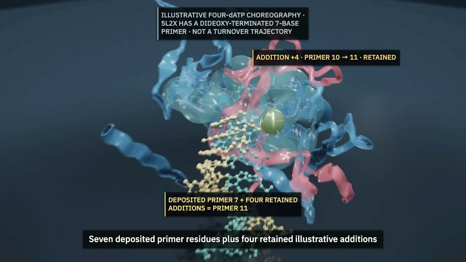 Primer extension scene