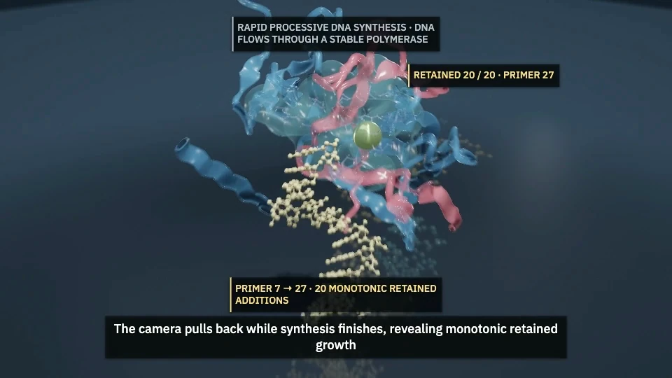 Rapid DNA synthesis scene