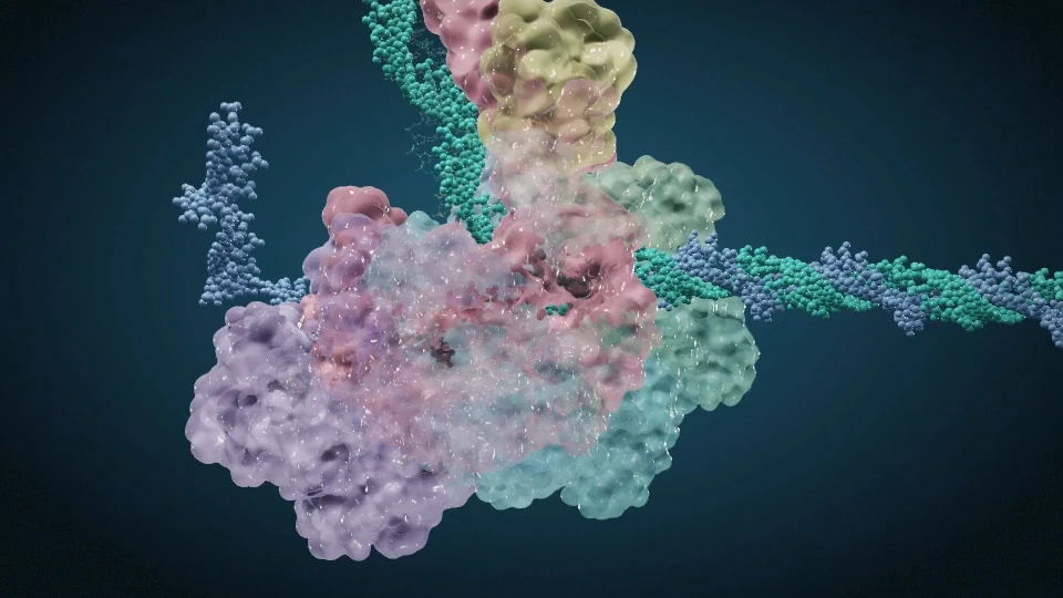 T7 replication fork molecular-surface scene