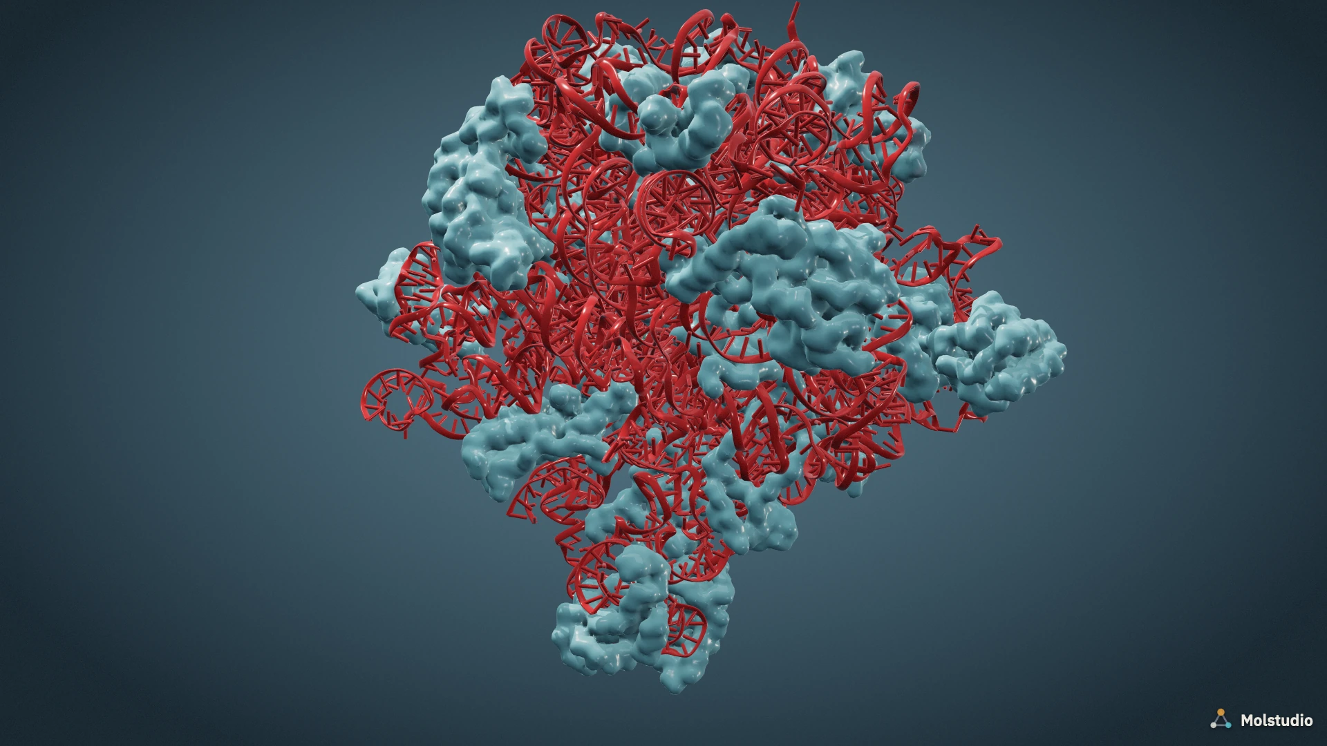 Ribonucleoprotein assembly: red cartoon nucleic acid interwoven with pale blue protein surfaces