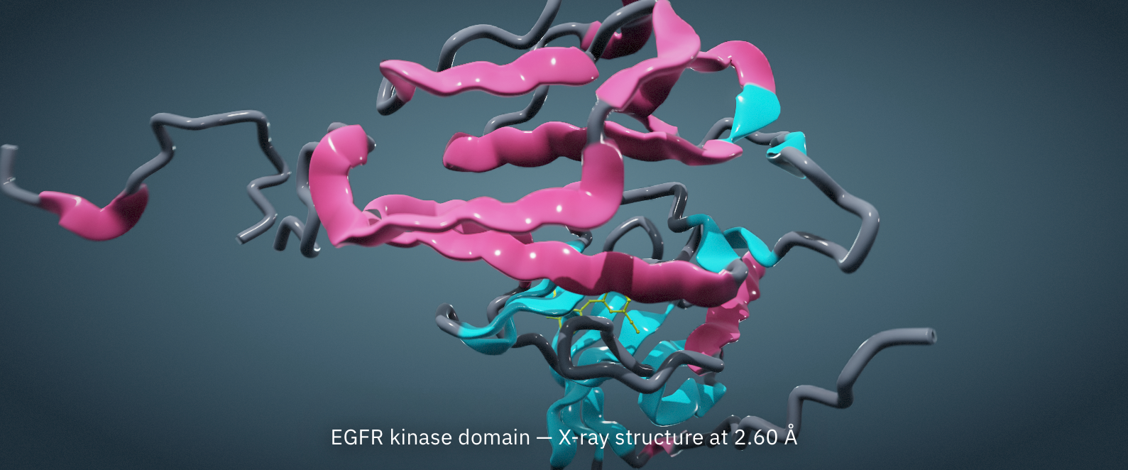 EGFR kinase domain cartoon