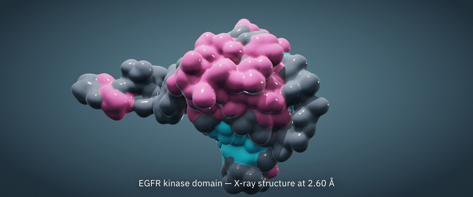 EGFR kinase domain molecular surface rendered in the Molstudio viewport